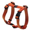 1882-Rogz_Utility_Snake_Orange_Medium_Dog_Harness.jpg Rogz utility orange