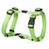ROGZ-UTILITY-SELE-LIME.png ROGZ UTILITY SELE LIME