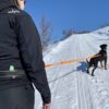 Alac magebelte med elastiske bånd Alac magebelte med elastiske bånd