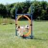 tx3208-1.jpg Trixie Agility Ring Hinder