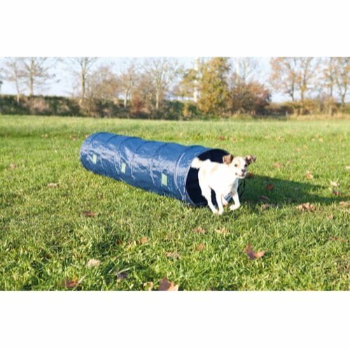 agility tunnel