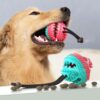 1.jpg Aktivitet-belønningsball med snor til hund