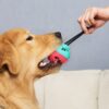 9.jpg Aktivitet-belønningsball med snor til hund