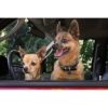 A631.4002-1-1.jpg Spotted! -Hund-katt ID merke QR kode