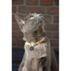 A631.4002-1-2.jpg Spotted! -Hund-katt ID merke QR kode