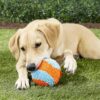 Chuckit-Indoor-Ball-Plysj-ball-2.jpg Chuckit! Indoor Ball Plysj ball