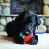 Chuckit-Indoor-Ball-Plysj-ball-6.jpg Chuckit! Indoor Ball Plysj ball