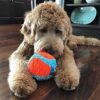 Chuckit-Indoor-Ball-Plysj-ball-7.jpg Chuckit! Indoor Ball Plysj ball