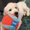 Chuckit-Indoor-Ball-Plysj-ball-8.jpg Chuckit! Indoor Ball Plysj ball
