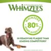 Whimzees-Toothbrush-Tannborste-til-hund.....jpg Whimzees Toothbrush, Tannbørste til hund