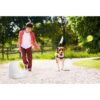 Hyper-Fetch-ballkaster.................jpg Hyper Fetch ballkaster
