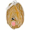 Myfamily-Briard-IDtag.....jpg Myfamily Briard IDtag