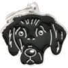 Myfamily-Flat-coated-retriever-IDtag.......jpg Myfamily Flat coated retriever IDtag