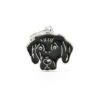 Myfamily-Flat-coated-retriever-IDtag.........jpg Myfamily Flat coated retriever IDtag
