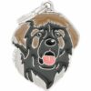 Myfamily-Leonberger-IDtag.......jpg Myfamily Leonberger IDtag