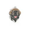 Myfamily-Leonberger-IDtag.........jpg Myfamily Leonberger IDtag