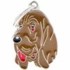 Myfamily-Blodhund-IDtag.........jpg Myfamily Blodhund IDtag