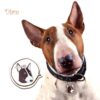 Myfamily-Bull-terrier-IDtag.jpeg Myfamily Bull terrier IDtag