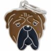 Myfamily-Bullmastiff-IDtag.jpg Myfamily Bullmastiff IDtag