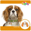 Myfamily-Cavalier-king-charles-IDtag.jpg Myfamily Cavalier king charles IDtag