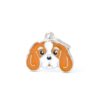 Myfamily-Cavalier-king-charles-IDtag.............jpg Myfamily Cavalier king charles IDtag