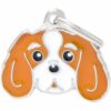 Myfamily-Cavalier-king-charles-IDtag.....................jpg Myfamily Cavalier king charles IDtag