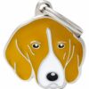 Myfamily-Foxhound.jpg Myfamily Foxhound