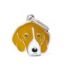 Myfamily-Foxhound.....jpg Myfamily Foxhound