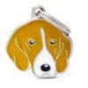 Myfamily-Foxhound.......jpg Myfamily Foxhound