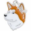 Myfamily-Shiba.....jpg Myfamily Shiba