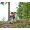 non-stop-dogwear-protector-vest-gps.jpg