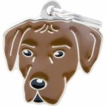 Myfamily-Rhodesian-ridgeback-.jpg Myfamily Rhodesian ridgeback
