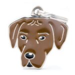 Myfamily-Rhodesian-ridgeback.jpg Myfamily Rhodesian ridgeback