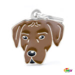 Myfamily-Rhodesian-ridgeback-5.jpg Myfamily Rhodesian ridgeback