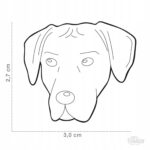 Myfamily-Rhodesian-ridgeback-7.jpg Myfamily Rhodesian ridgeback