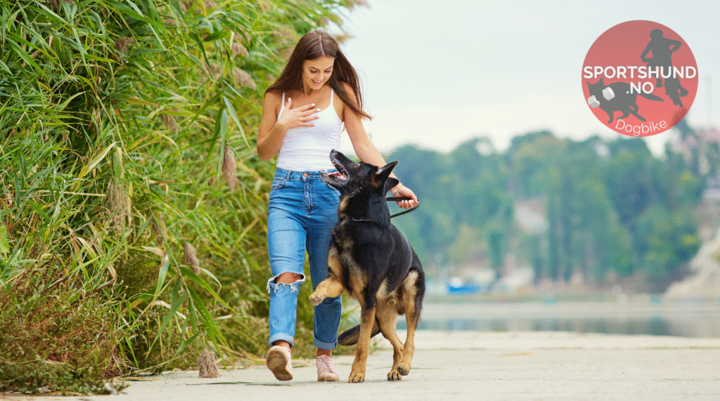 Hund som Piper Under Trening. Slik Stopper du Frustrasjonslyd