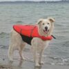 6fd083a7ef85061a6a79bc833ca76888-image.jpeg Ozami flytevest hund