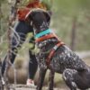 Hurtta-Casual-ECO-Hundesele-1-6 Hurtta Casual ECO Hundesele