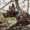 Hurtta-Casual-ECO-Hundesele- Hurtta Casual ECO Hundesele