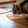 LickiMat-Cat-Soother-spisematte.jpg LickiMat Cat Soother spisematte