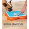 Nina-Ottosson-Challenge-Slider...................jpg Nina Ottosson Challenge Slider