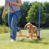 Trixie Agility hund Hurdle Hopphinder.jpg Trixie Agility hund Hurdle Hopphinder.jpg