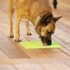 matskal-lickimat-buddy-large-ZoYv3q.jpg