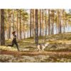 non-stop-dogwear-canix-belt-magebelte-trekkbelte4.jpg
