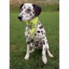 Trixie Refleksiv Bandana hund Trixie Refleksiv Bandana hund