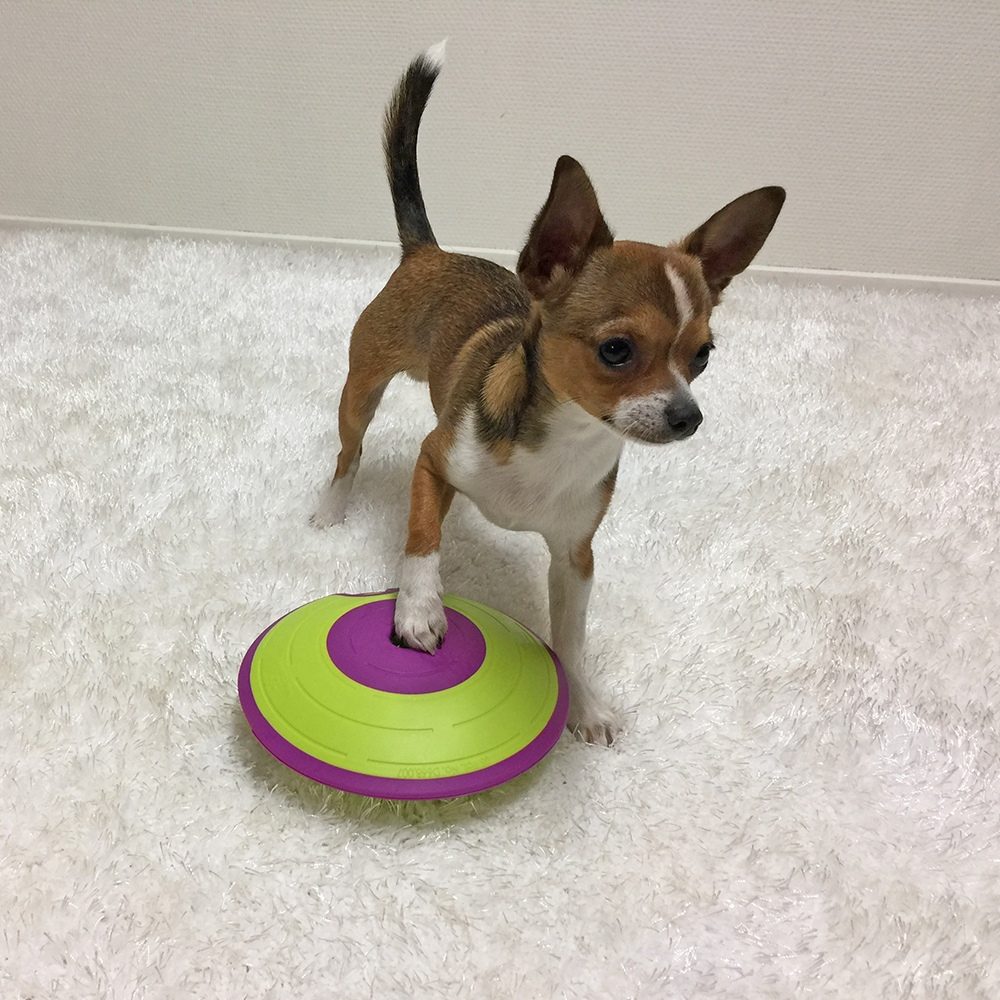Nina Ottosson Dog Treat Maze Plast Aktivitetsleke