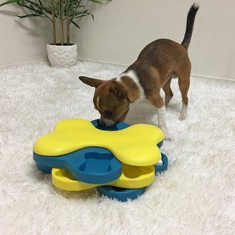 Nina Ottosson Dog Tornado Plast Aktivitetsleke