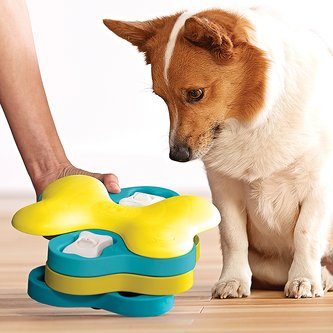 Nina Ottosson Dog Tornado Plast Aktivitetsleke