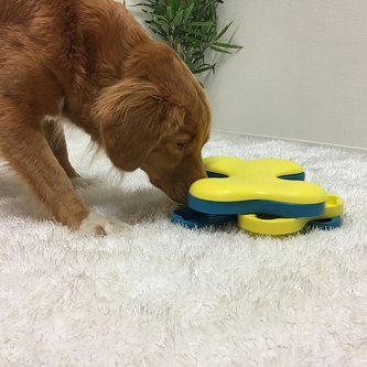 Nina Ottosson Dog Tornado Plast Aktivitetsleke