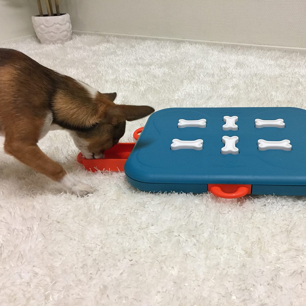 Nina Ottosson Dog Casino Aktivitetsleke